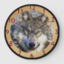 Recherche de loups horloges Faune