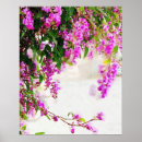 Recherche de vignes posters Pour tous