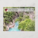 Recherche de hêtre cartes postales Forêt