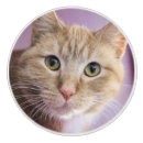 Recherche de cat boutons et poignées de porte Orange