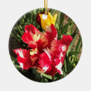 Zoek naar papegaaien ornamenten Rood