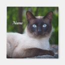 Recherche de chat siamois magnets Animal