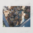 Recherche de fruits légumes cartes postales Marché