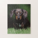 Recherche de vue gros plan puzzles Superstock