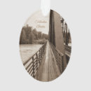 Zoek naar sepia ornamenten Historisch