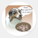 Recherche de australiens de berger autocollants Aussie