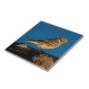 Recherche de tronc carreaux Bleu