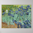 Recherche de iris van gogh posters Peinture florale