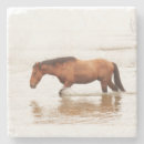 Zoek naar paarden onderzetters Mustang
