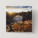 Recherche de serein badges Forêt