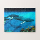 Recherche de baleine de bosse puzzles Mer