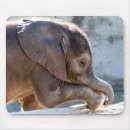Recherche de éléphant bébé tapis souris Éléphants