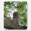 Zoek naar owl muismatten Dieren