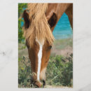 Recherche de le cheval prospectus Ferme