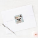 Zoek naar franse buldog stickers Frenchie