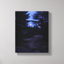 Recherche de lune dans les bois Paysage