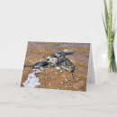 Recherche de nantucket vœux cartes Océan