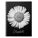 Zoek naar big notitieboeken Modern