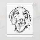 Recherche de visage de chien cartes postales Dogs