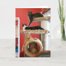 Recherche de nouvel animal familier vœux cartes Animaux familiers