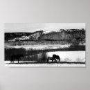 Zoek naar zwarte paarden kunst Land
