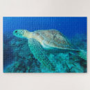 Recherche de natation puzzles Tortue de mer