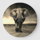 Recherche de elephant horloges Faune