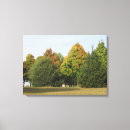 Zoek naar herfstbladeren fotografie Mooi