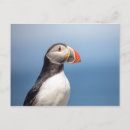 Recherche de atlantique cartes postales Océan