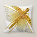 Recherche de cricket coussins Insecte