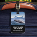 Recherche de glacier accessoires Montagnes