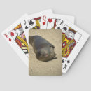 Recherche de animaux mer de jeux de cartes Plage