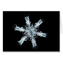 Recherche de micrographie cartes postales Monde naturel