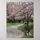 Zoek naar kanji japan posters Kersenbloesem