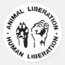 Recherche de alf autocollants Animal