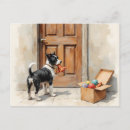 Zoek naar witte hond briefkaarten Humor
