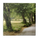 Recherche de route carreaux Campagne