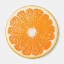 Recherche de fruit refrigérateur magnets Orange