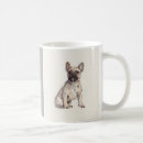 Recherche de bouledogues tasses Chien
