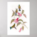Recherche de animal vintage posters Floral