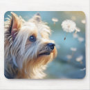 Recherche de yorkshire terrier tapis souris Animal