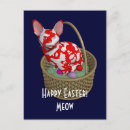 Recherche de chat de pâques cartes postales Chatte