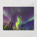 Recherche de fairbanks cartes postales Superstock