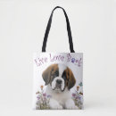 Recherche de st bernard Amoureux des chiens