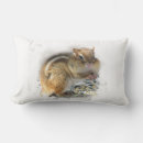 Recherche de chipmunk coussins Nature