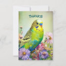 Recherche de perruche mignonne vœux cartes Oiseaux