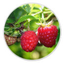 Recherche de fruits boutons et poignées de porte Jardin