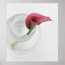 Recherche de calla lilly art Cala lily