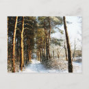 Recherche de scène neige cartes postales Hiver