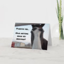 Zoek naar veulen kaarten Dier